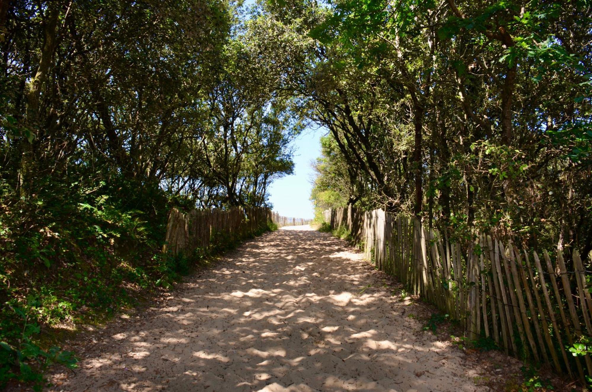 Camping Le Clos Des Pins Longeville-sur-Mer Luaran gambar